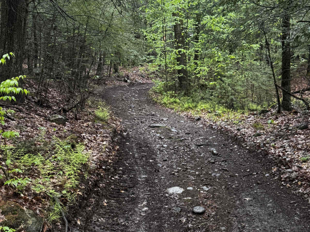 Charles Farnum Road trail photo