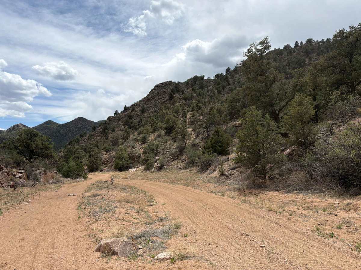 BLM 6024 photo 5