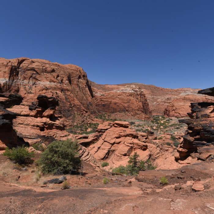 Near Lava Flow - Petrified Dunes Loop