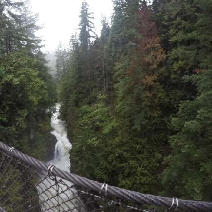 Near Centennial Trail