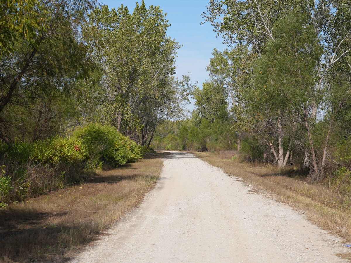 Lake Road West Fork photo 2