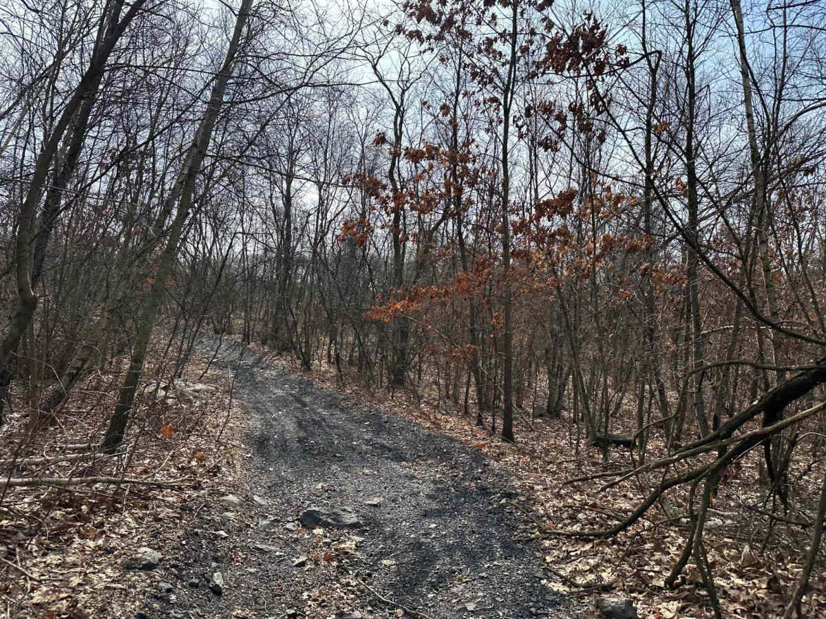 ATV Cut Through photo 2