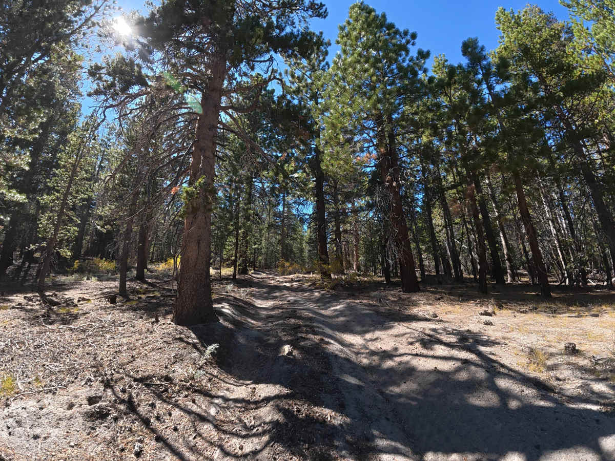 Ol' Cease Spur trail photo