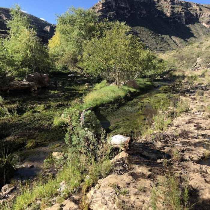 Near Sitting Bull Falls Loop Trail