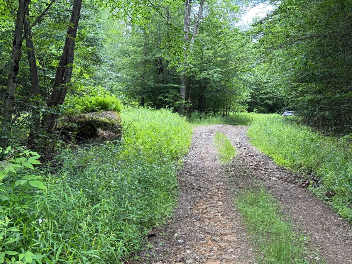 JCRAIG Adventure Trail trail photo