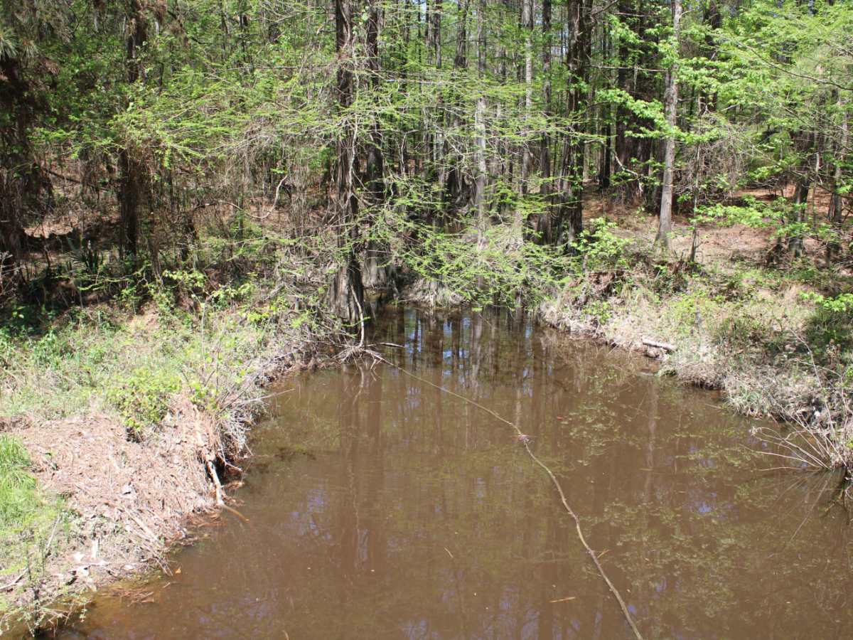 The Arkansas Overland Route - TrailHawk Loop - Section 18 photo 4