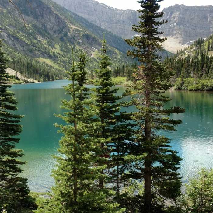 Near Bertha Lake Trail