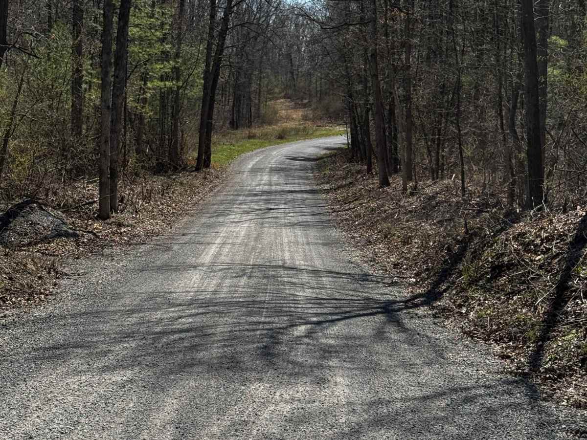 Hall Road trail photo