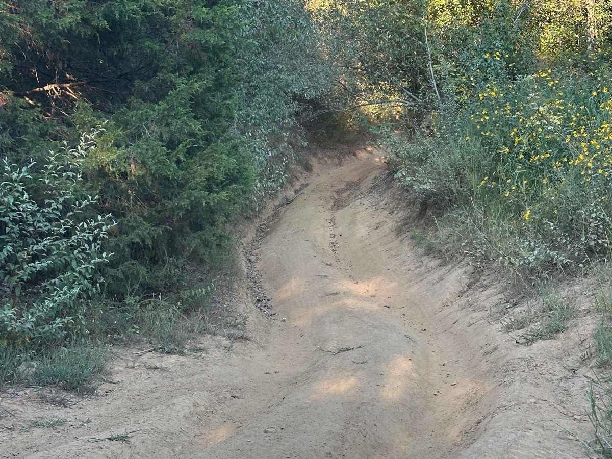 The Switchback photo 6