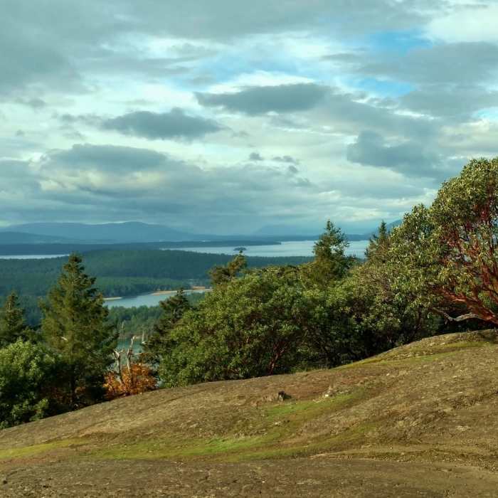 Near Young Hill Overlook Spur