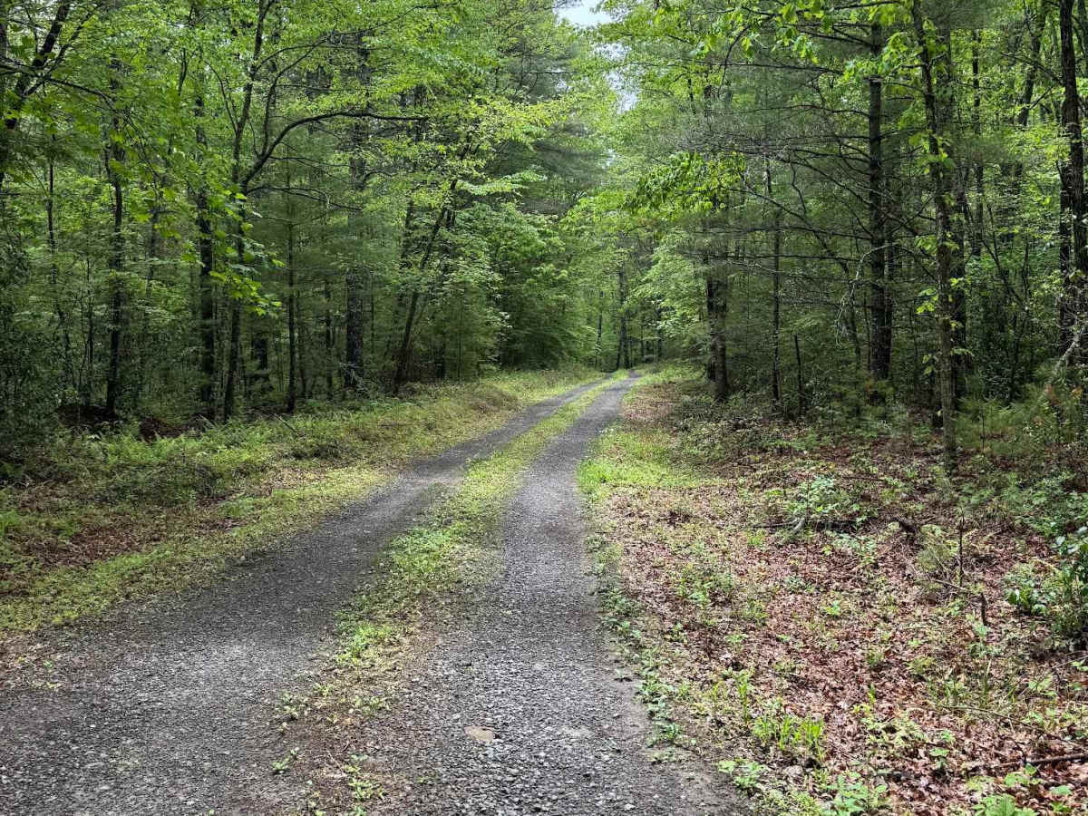 Star Chapel trail photo