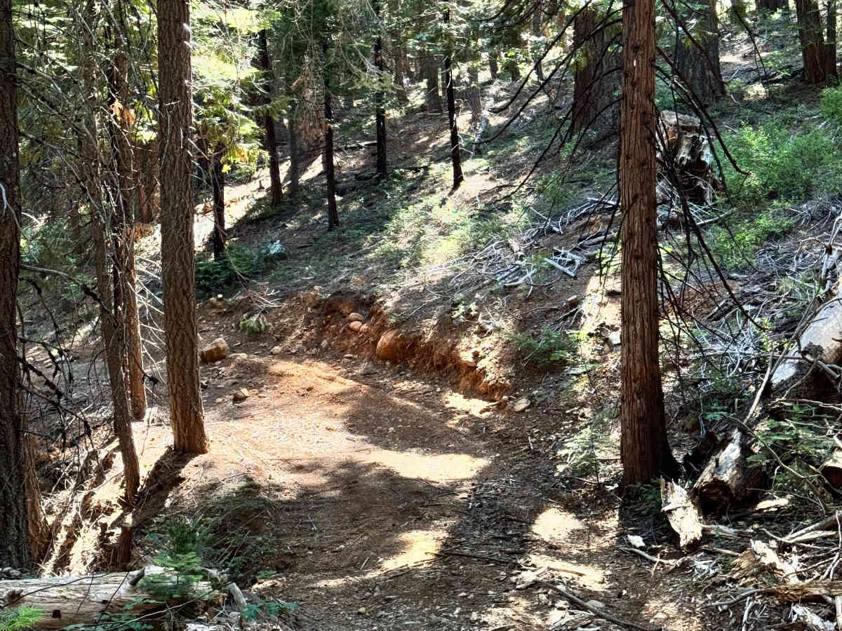 Lower Glen Spur - FS 96-54-15 photo 6