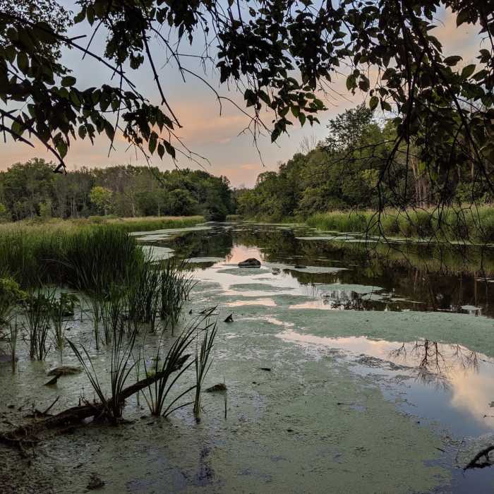 Near Ice Age Trail: Monches Segment