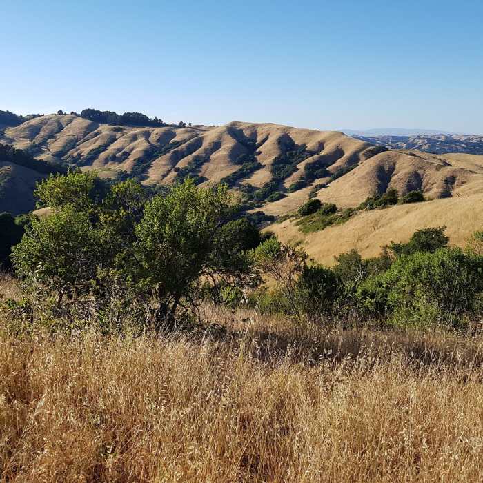 Near Educational Loop