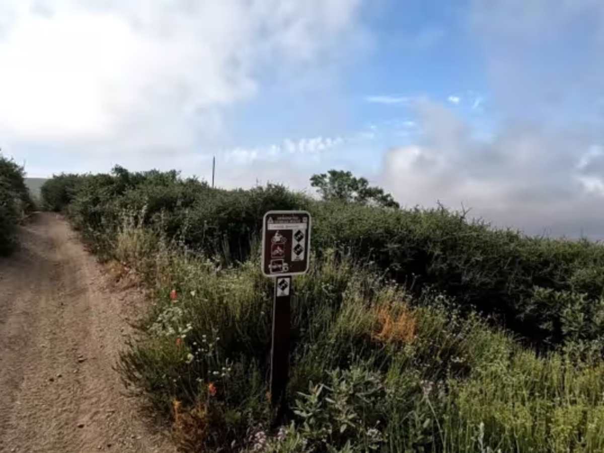King Snake trail photo