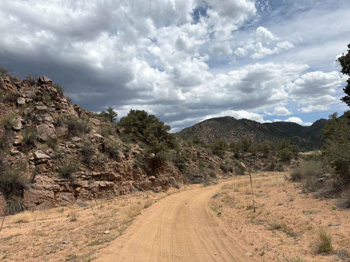 BLM 6024 photo 4