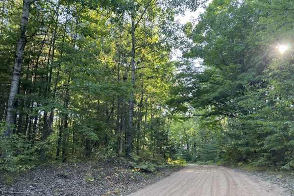 Schuster Lane
