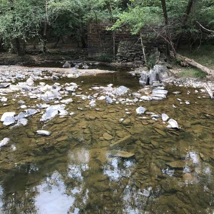 Near Laurel Bluffs Trail (East)