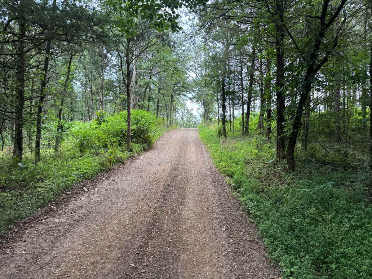 County Road 3365 trail photo