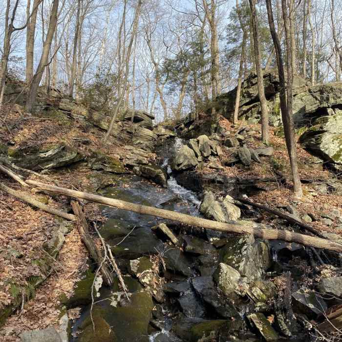 Near Whitestone Cliff Trail (Blue)
