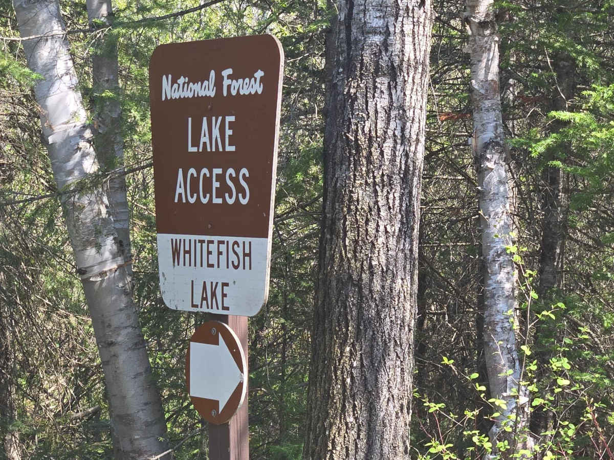 Whitefish Lake Trail photo 4