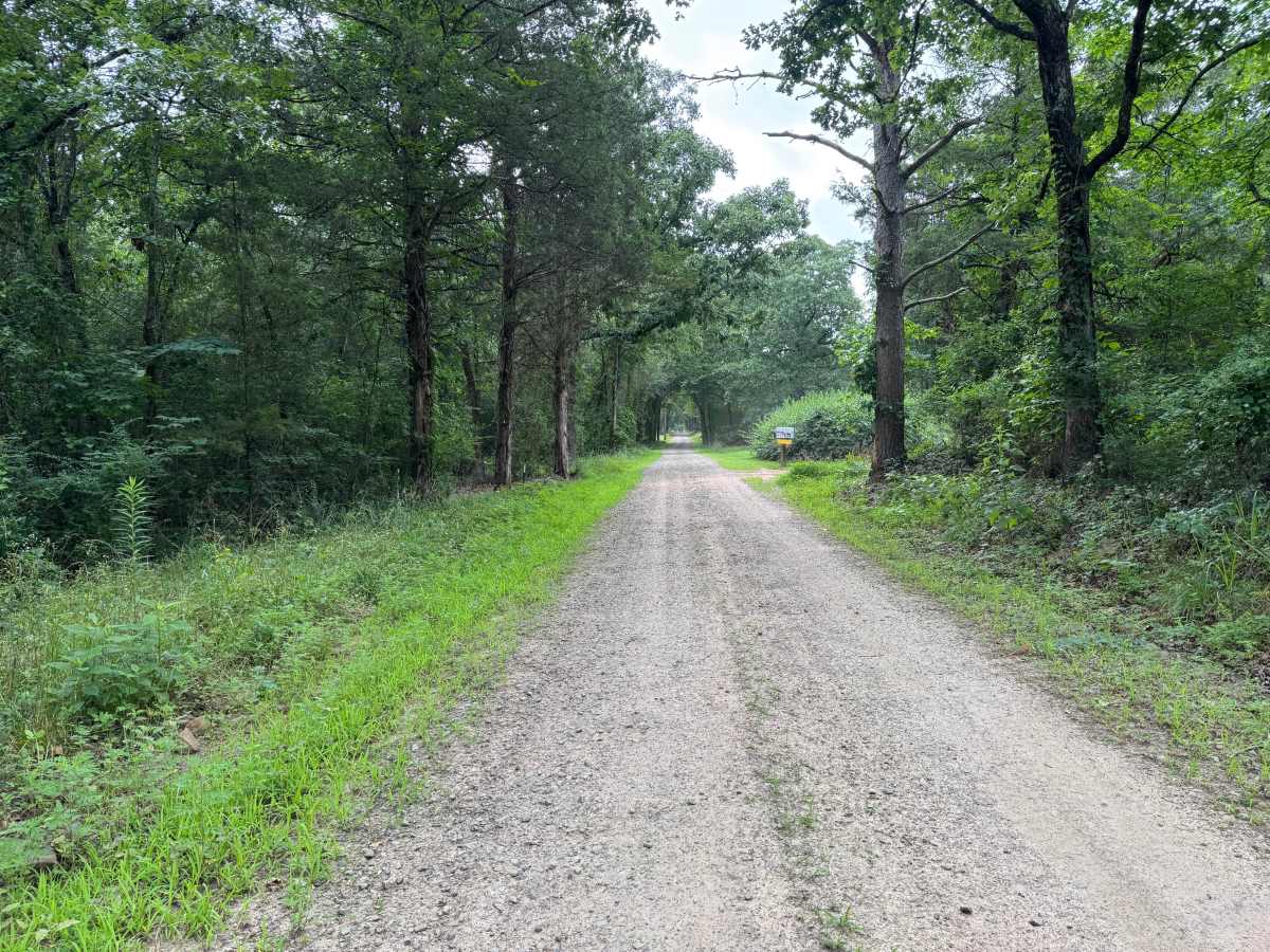 County Road 3546 photo 2