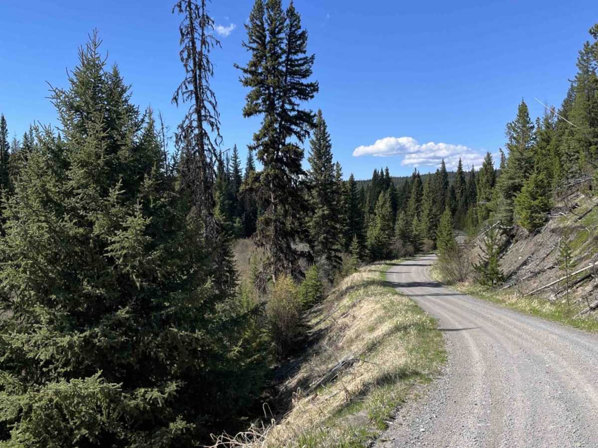 Guichon Creek to Tunkwa Lake photo 5