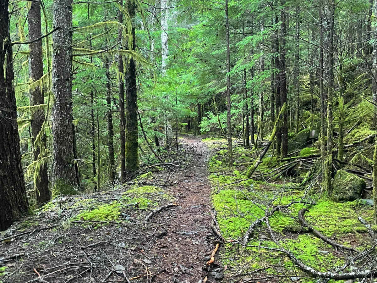 Lava Ridge 1 photo 5