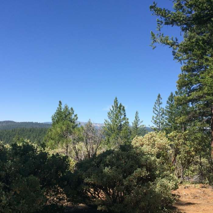 The view from Monument Peak. Near Monument Peak Trail