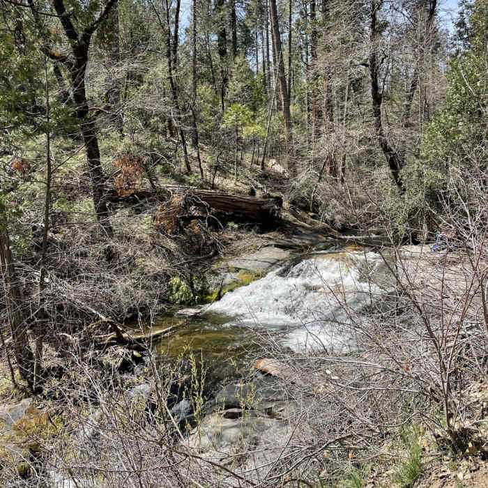 Near Lewis Creek Trail