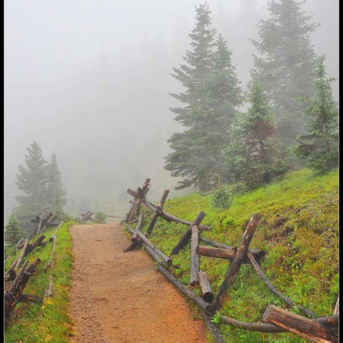 Near Timber Lake Trail