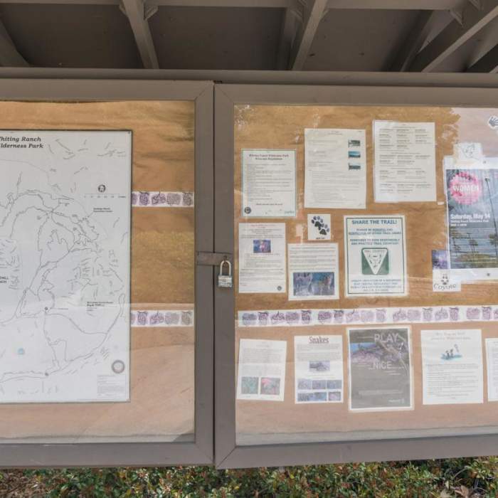 Near Borrego Canyon + Red Rock Canyon Trails