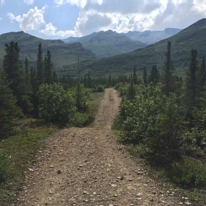 Near Antler Creek Near Antler Creek