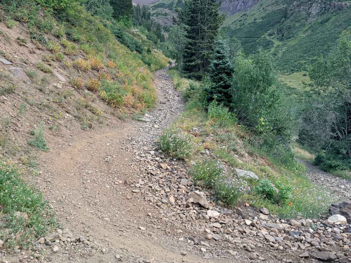 Mineral Fork Road trail photo