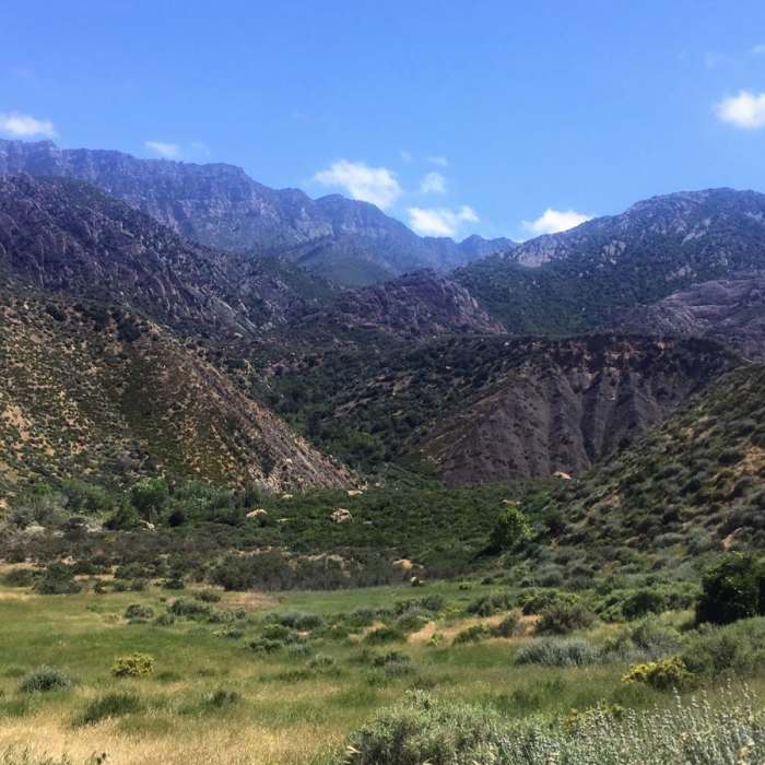 Near Sespe Hot Springs via Sespe River Trail