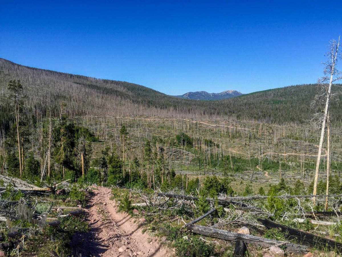 Lily Lake and Wolverine ATV Trail trail photo