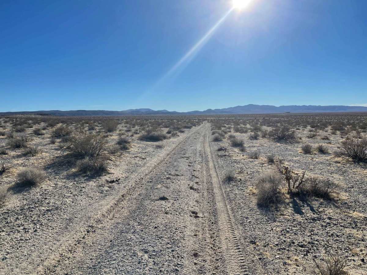 Leg Day trail photo