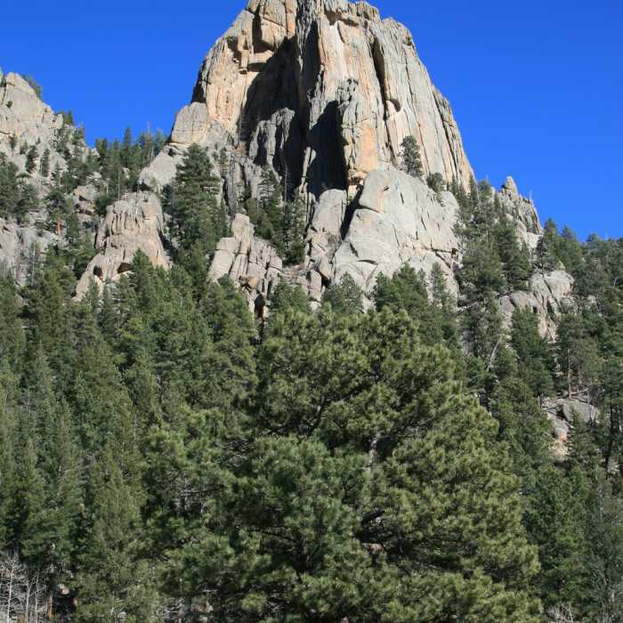 Near Black Canyon Trail