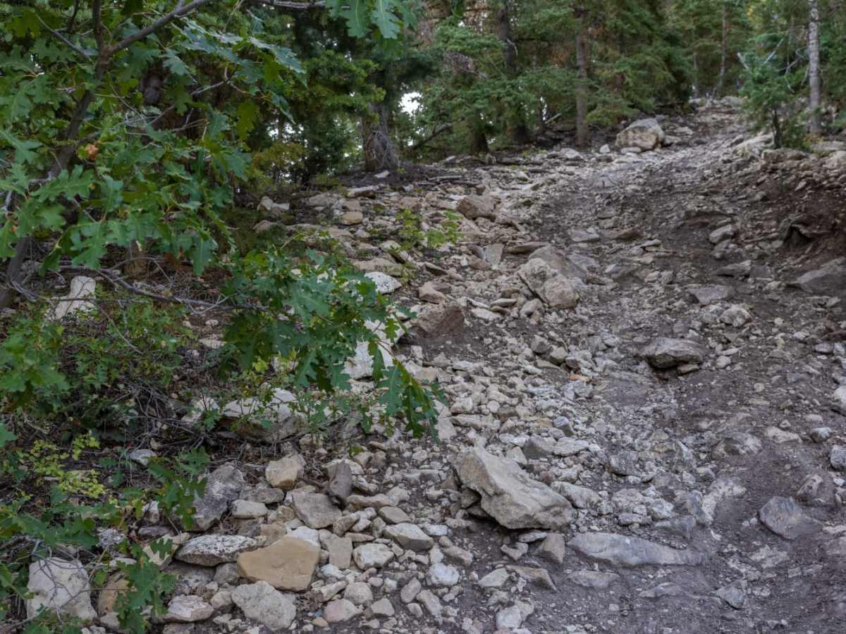 Olsen Canyon Road photo 5