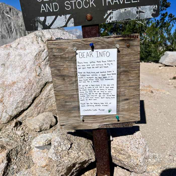 Near Bullfrog to Kearsarge Pass Trail Loop