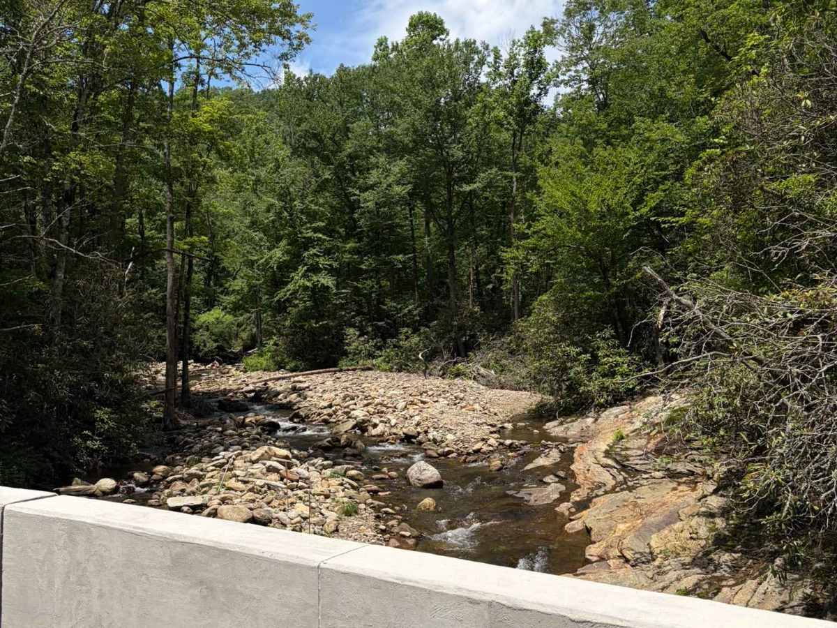 Davidson River Road - FS 475 photo 4