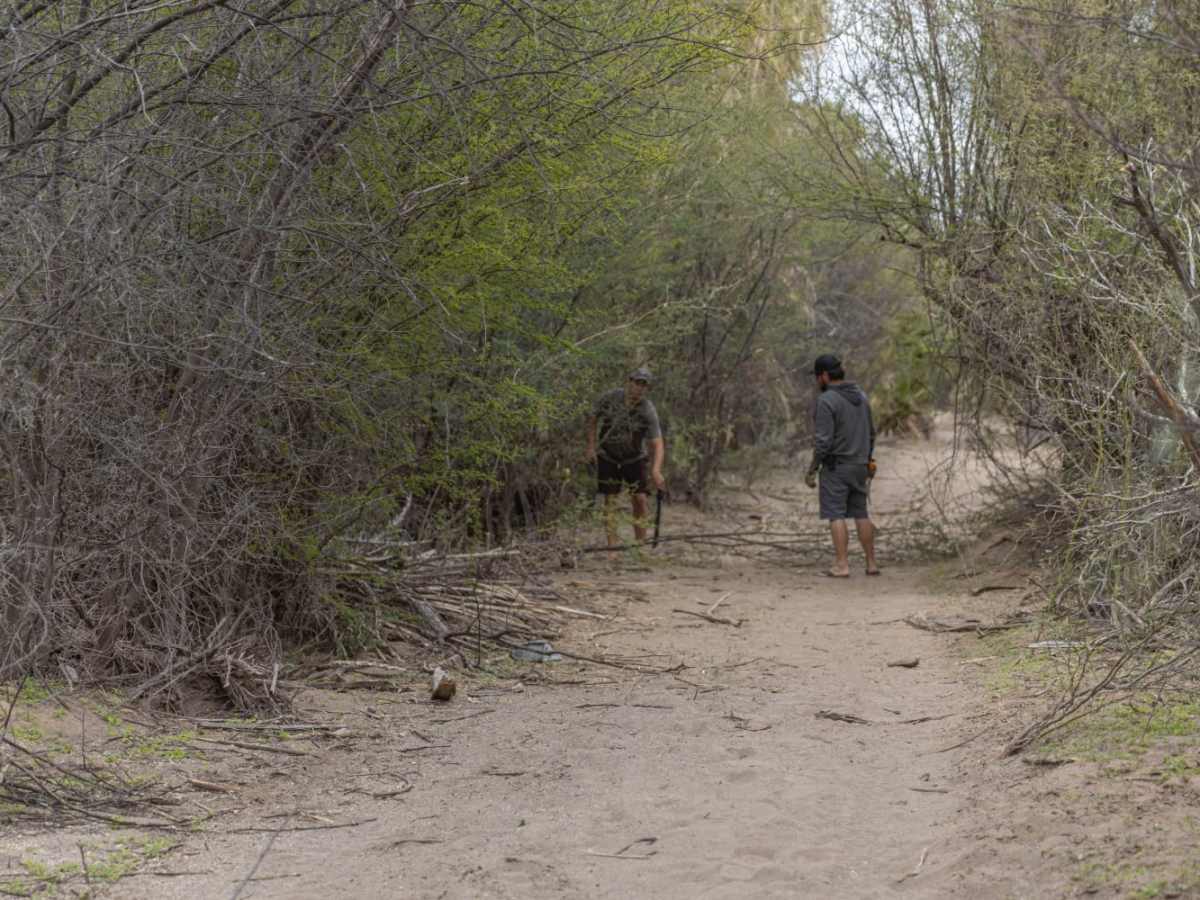 Desert Jungle to San Ignacio photo 3