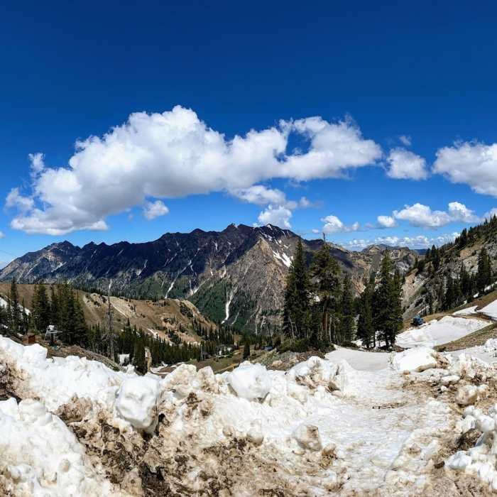 Looking down Peruvian Gulch. Near Peruvian Gulch Trail
