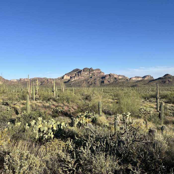 Near Shaka Cave via the Lost Goldmine Trail