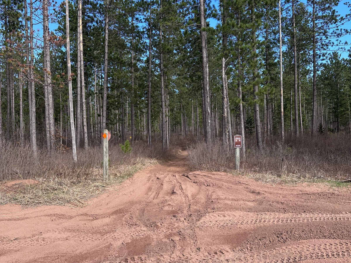 Sandy Pines Trail photo 2