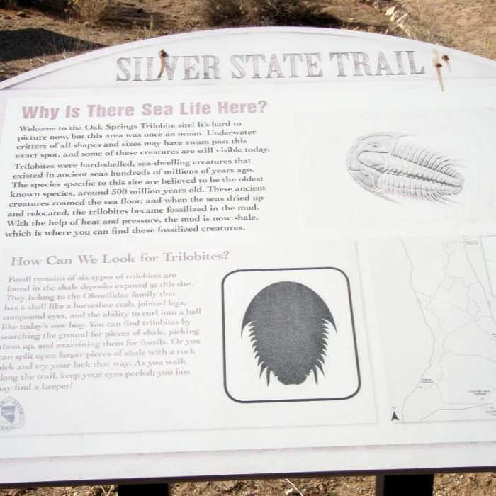 Near Oak Springs Trilobite Site Near Oak Springs Trilobite Site