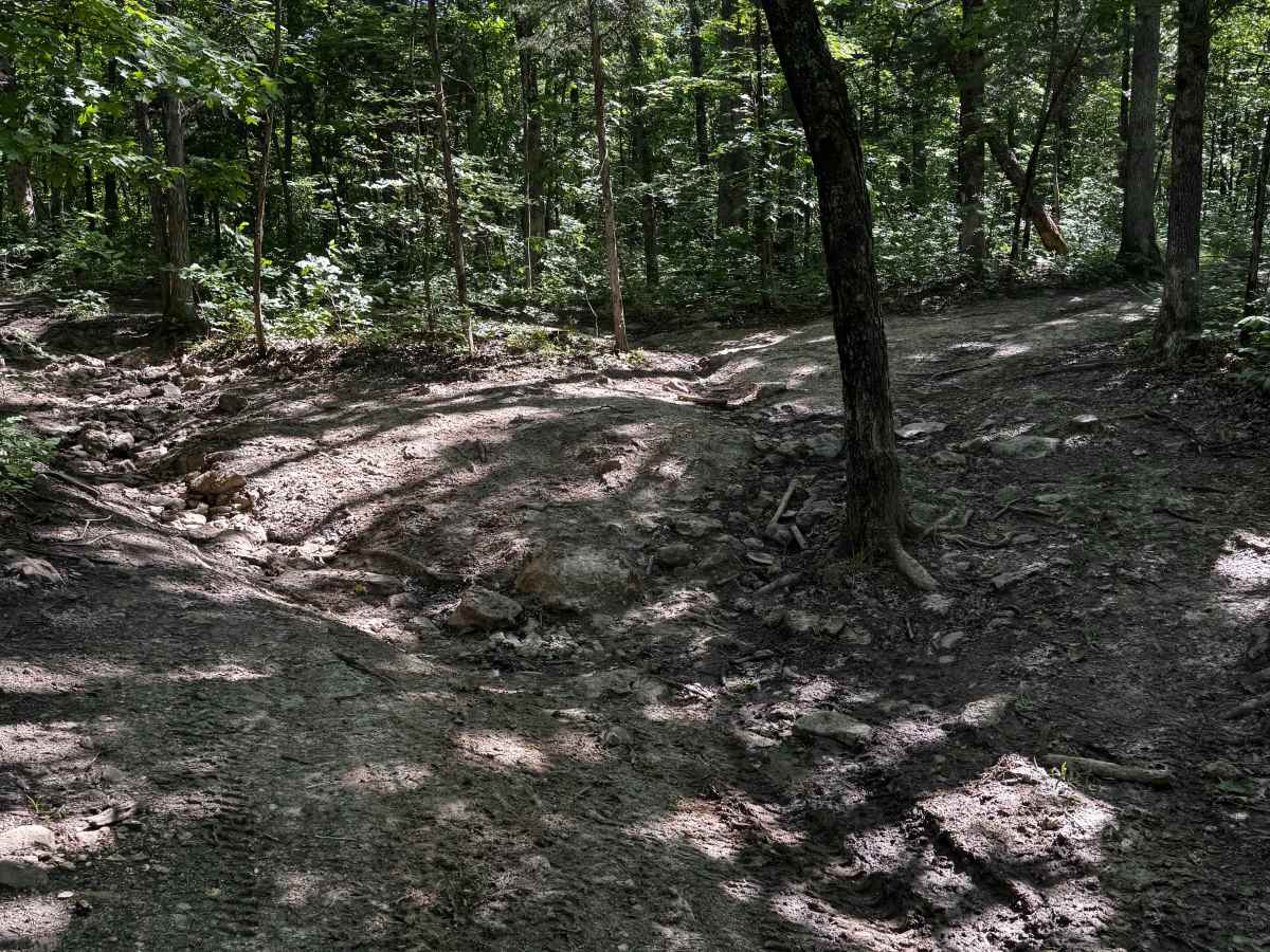 Inner Cut Thru 6 photo 2