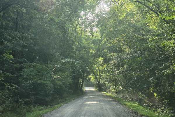 Lower Creek Road