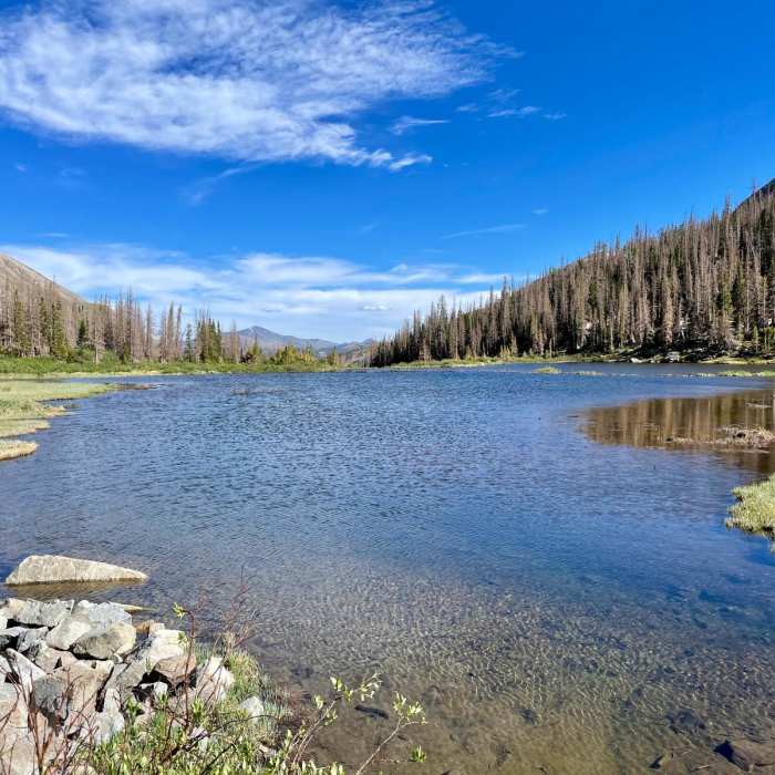 Near Colorado Trail: Collegiate West Segment 4