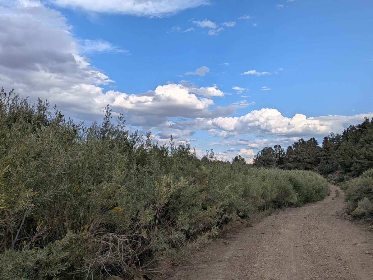 Coyote Springs Road photo 6